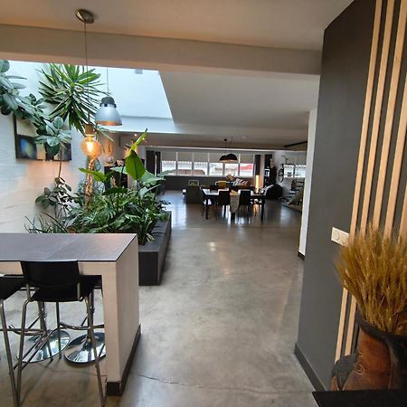 Ferienwohnung Loft Carrasketa Alfafara Exterior foto